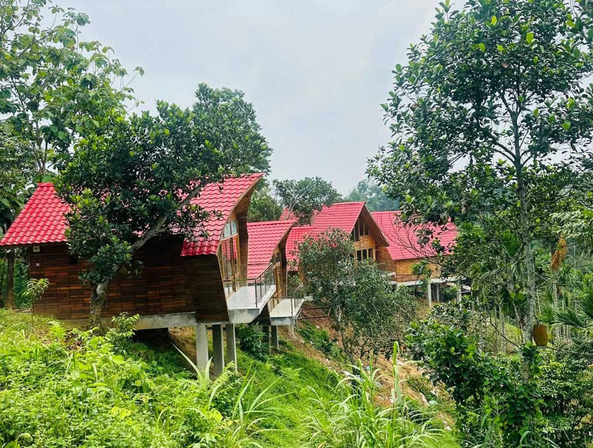 Where Luxury Meets the Soul of the Tea Gardens