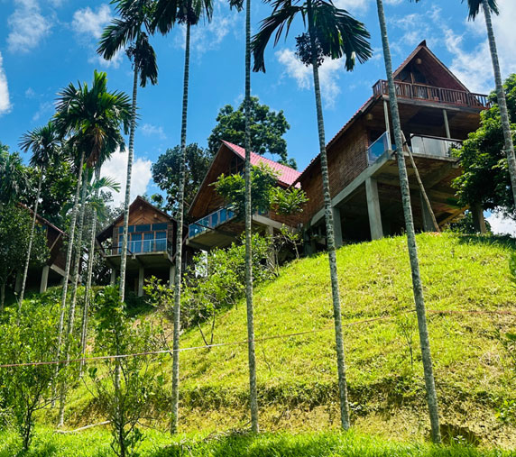 Lushara Tea Resort