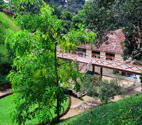 Novem Eco Resort