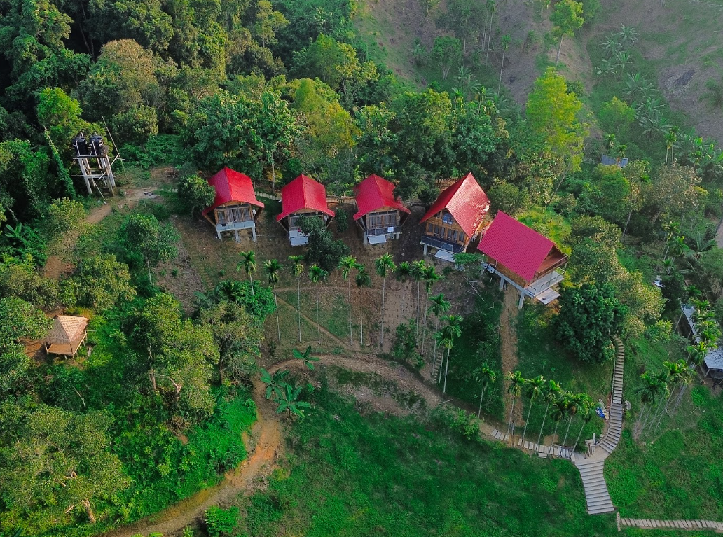 Where Luxury Meets the Soul of the Tea Gardens